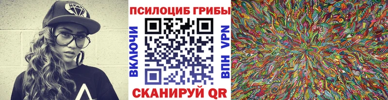 Псилоцибиновые грибы Psilocybine cubensis  Купить где  Костомукша 